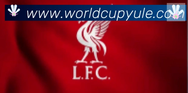 FIFA世界杯买球入口合作伙伴