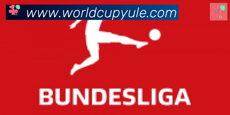 FIFA世界杯买球入口合作伙伴