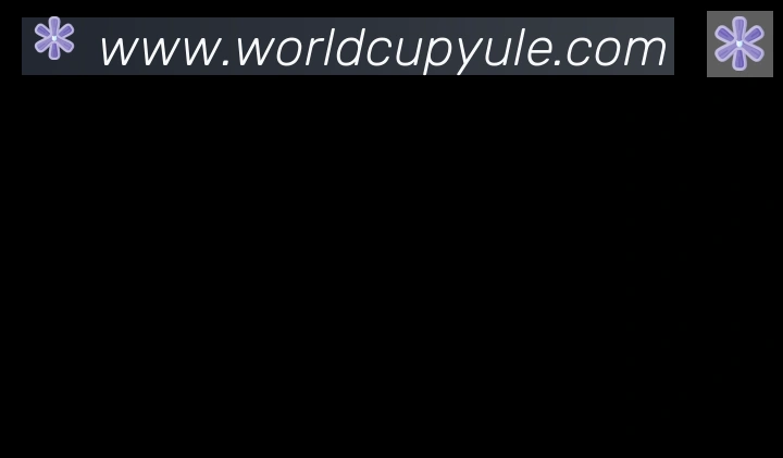 FIFA世界杯买球入口合作伙伴